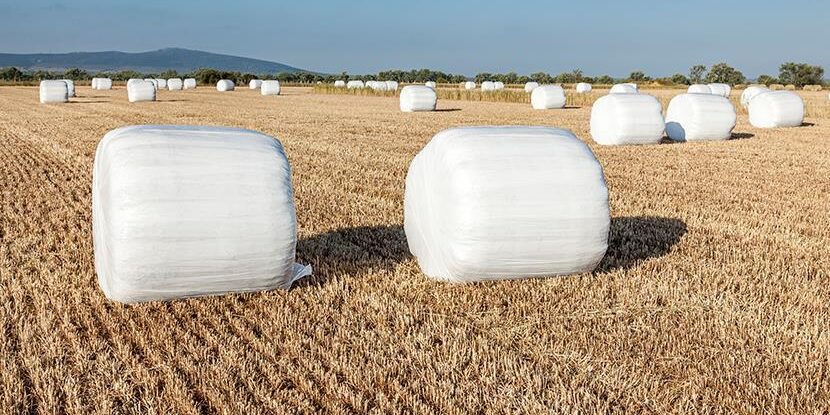 Dióxido titanio para la agricultura Dióxido titanio para la agricultura